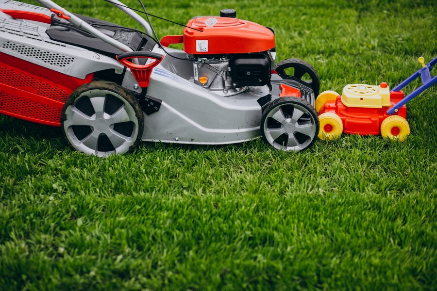 Lawn Grass Dealership Services